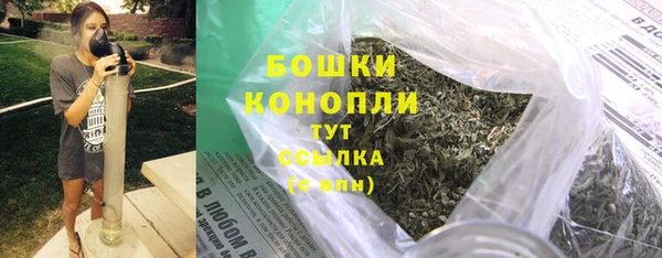 метадон Белокуриха