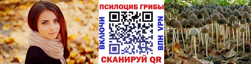 Псилоцибиновые грибы Psilocybine cubensis  Коммунар 
