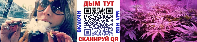 Конопля Ganja  Коммунар 